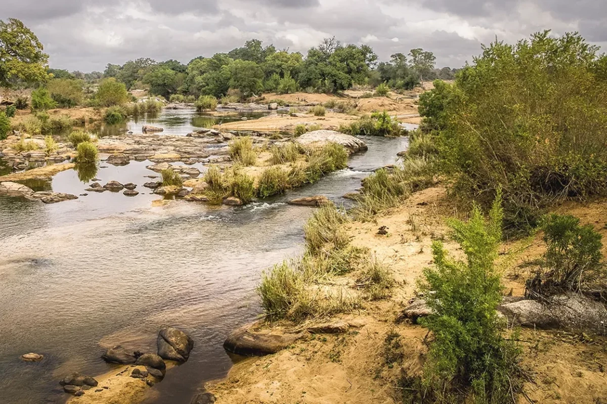 Zambia